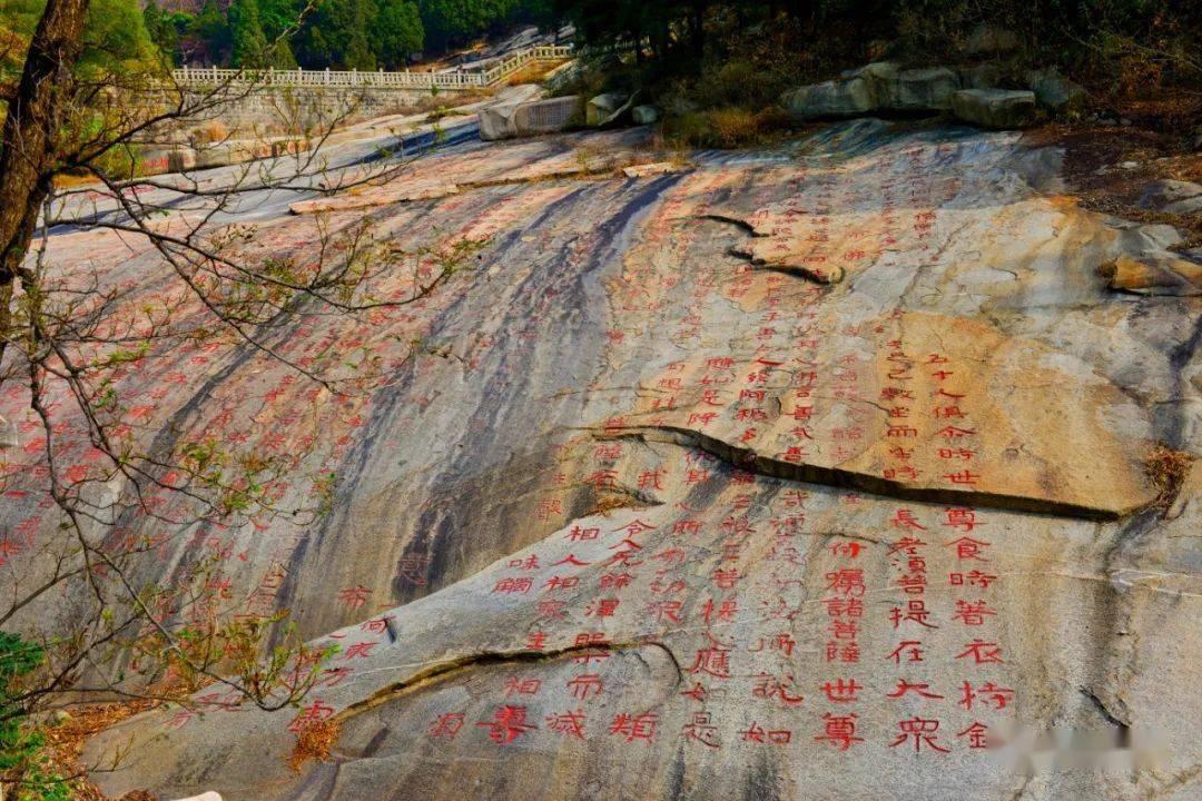掌握一切,问答宝典,尽在微软官网为什么下载不了win10镜像,点击下载无法浏览